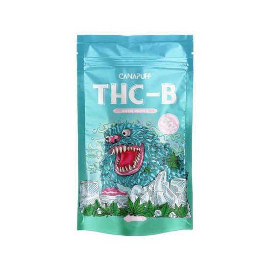 Canapuff 50% THC-B Flower | Kush Mintz